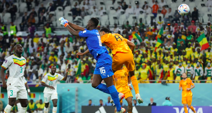 Netherlands vs Senegal Qatar World Cup 2022 Match