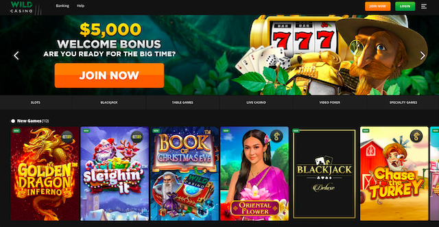 Wild Casino: Recommended Sports Betting Site For Playing Live Casino Games
